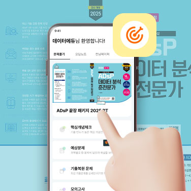 [PT]  ADsP 끝장패키지 2025 PT